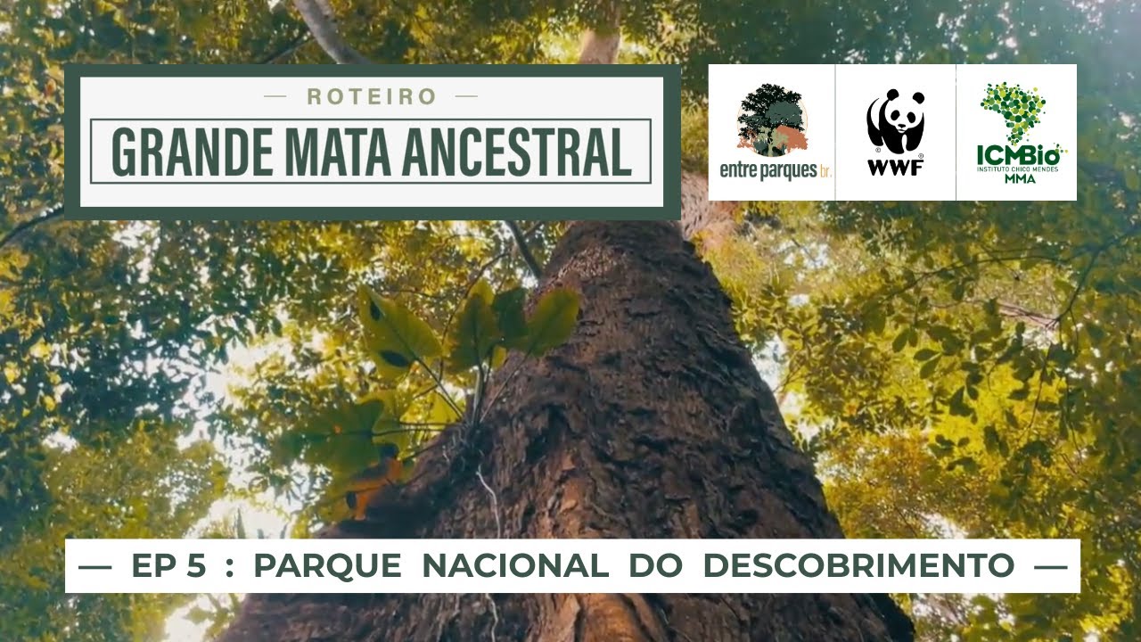 Parque Nacional do DESCOBRIMENTO | GRANDE MATA ANCESTRAL [Ep. 5]