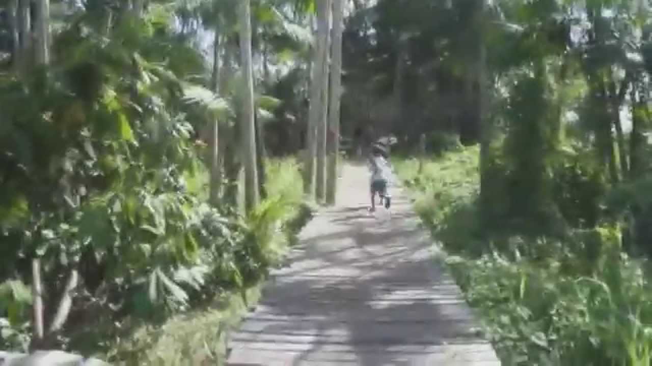 MEAP Base no Arquipélago de Bailique - Amapá