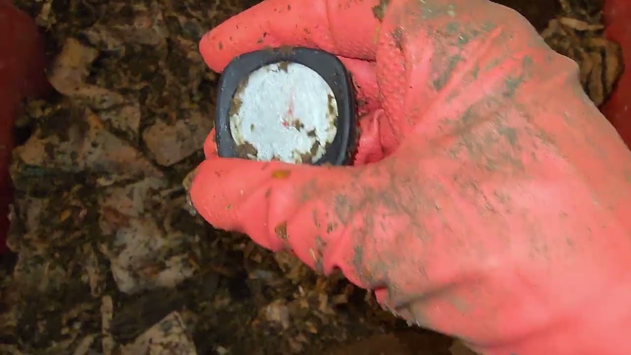 Mixed Worm Bin 1 Check-In & Feeding After 17 Days 27 December 2025 #compostingworms #wormbin