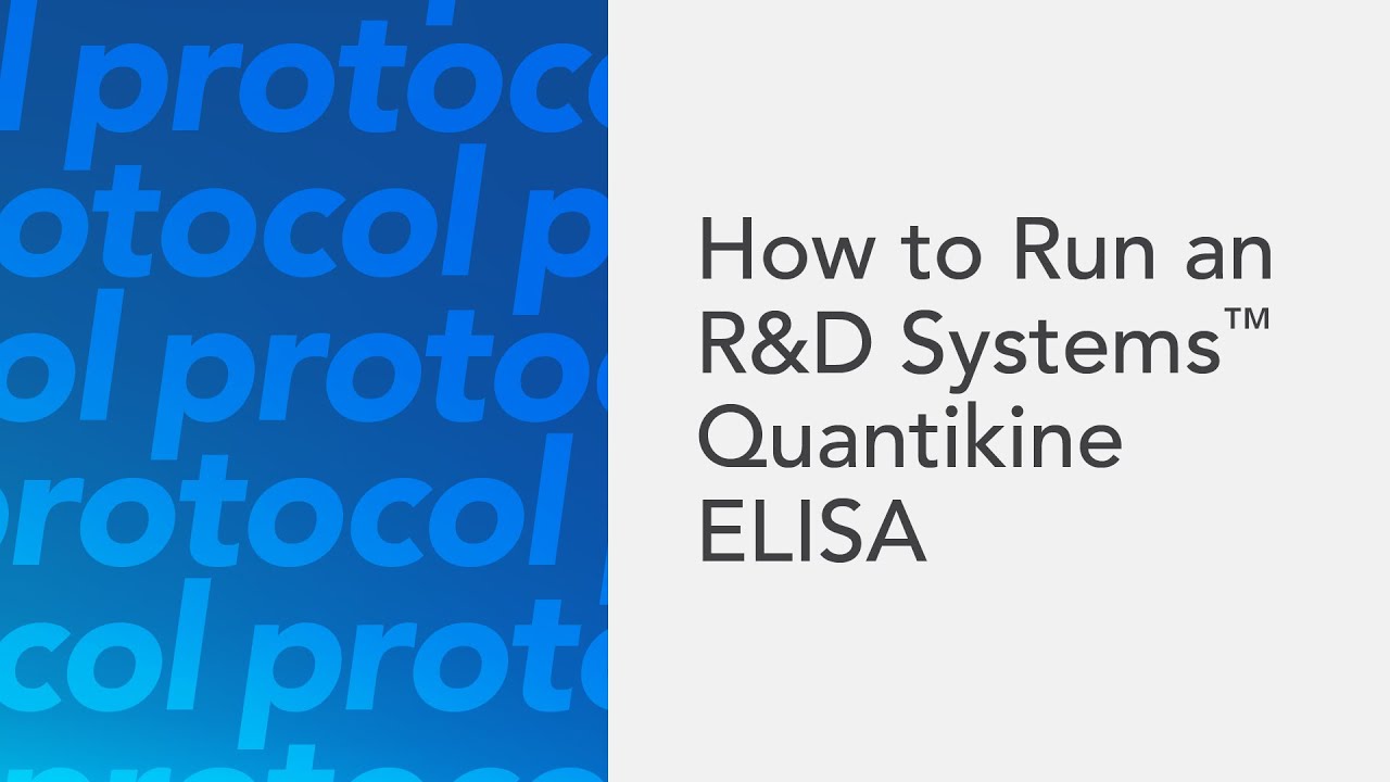 How to Run an R&D Systems Quantikine ELISA Kit - an ELISA protocol video