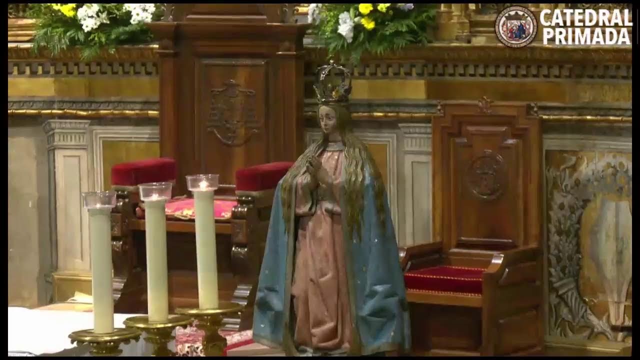 Santa Misa 8 diciembre 2025 Solemnidad de la Inmaculada Concepción