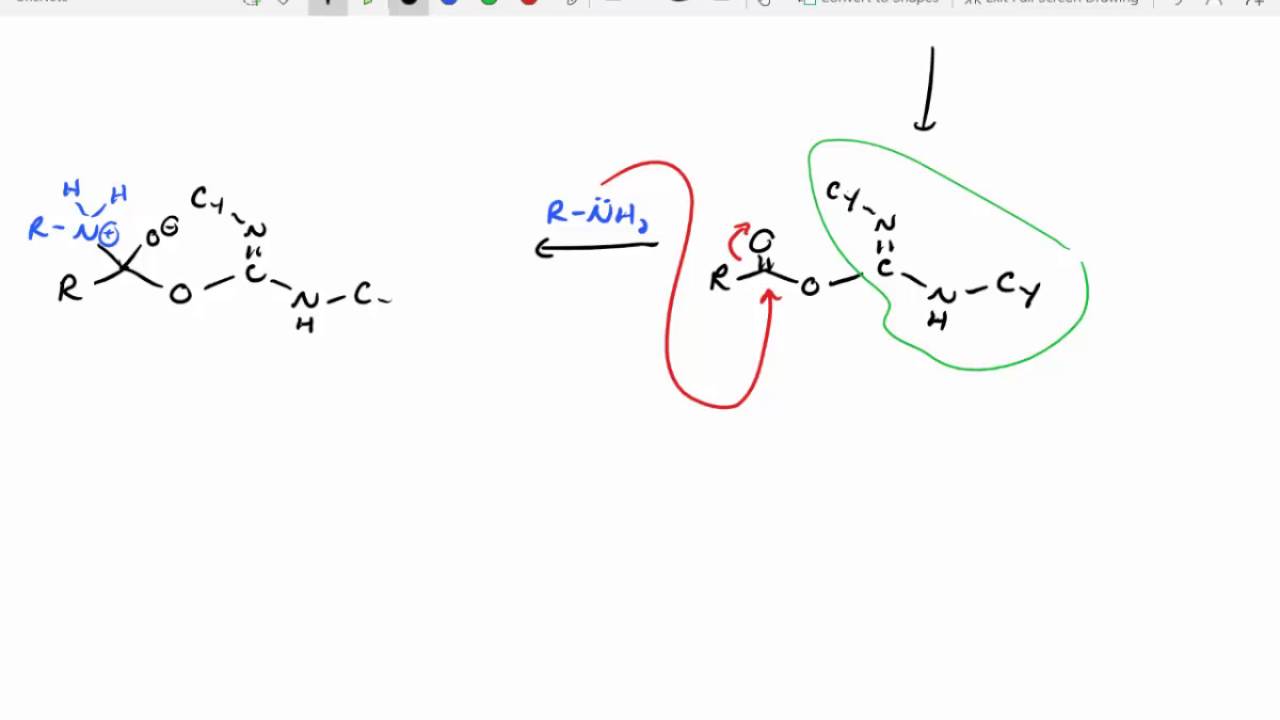 Peptide Synthesis