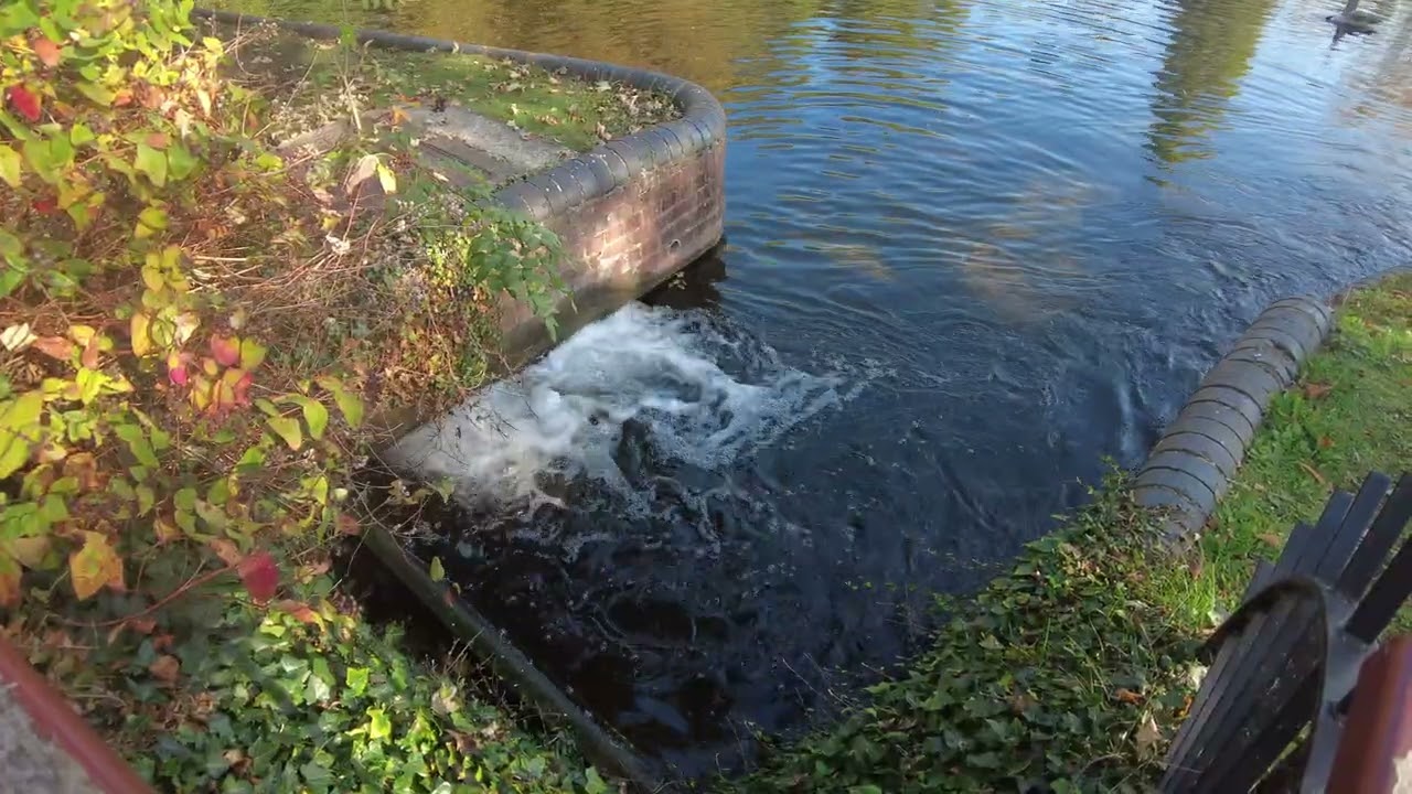 A Walk Around Carshalton Ponds
