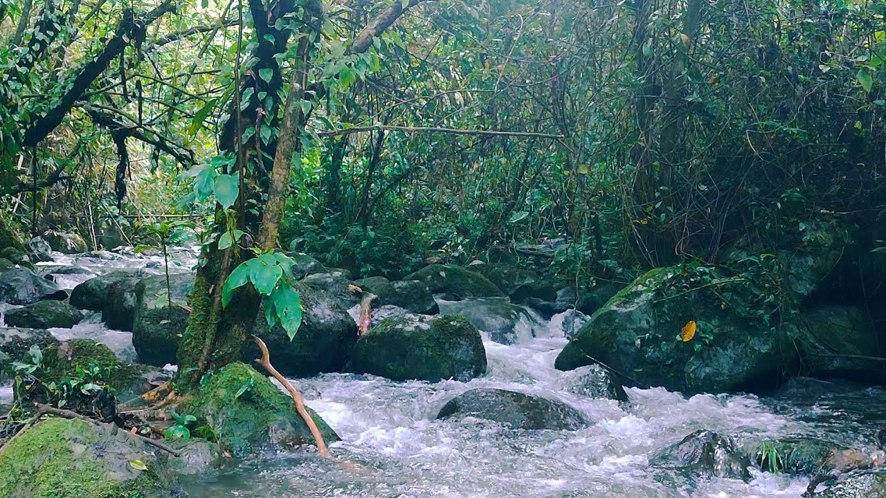 Исцеляющий Звук Реки &ndash; Натуральное Средство для Сна и Расслабления