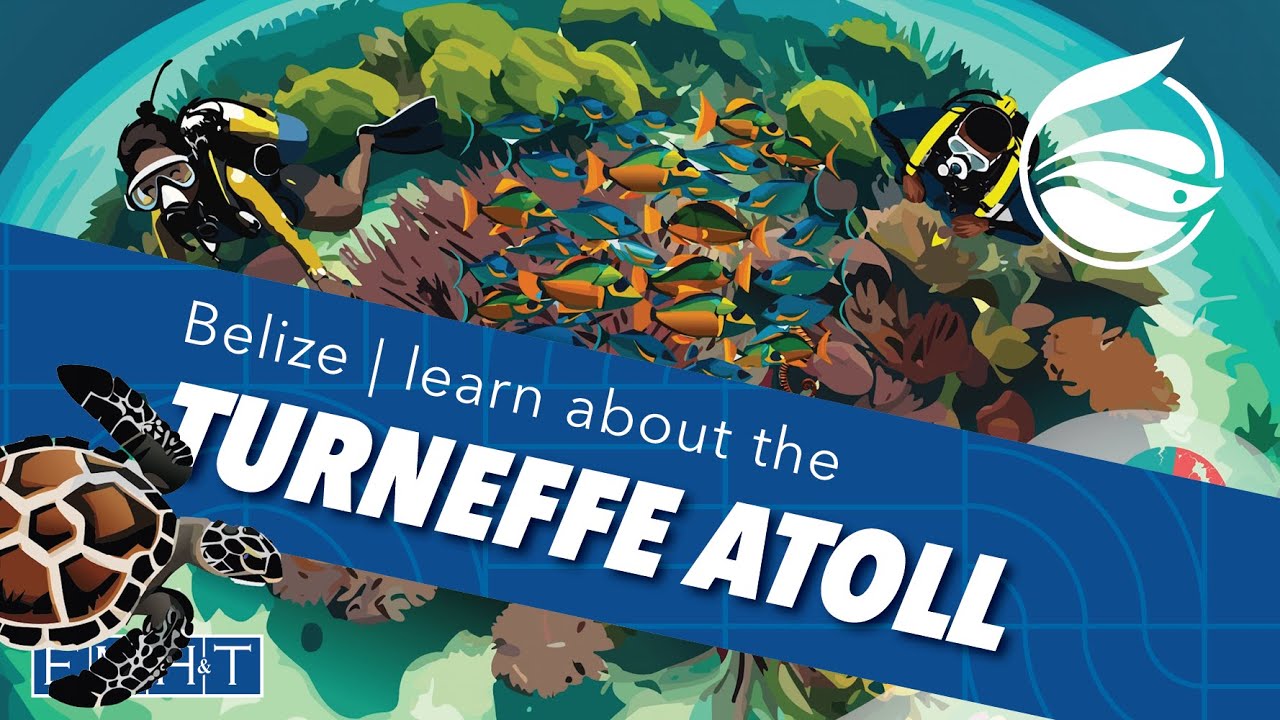 Turneffe Atoll Sustainability Association | Belize