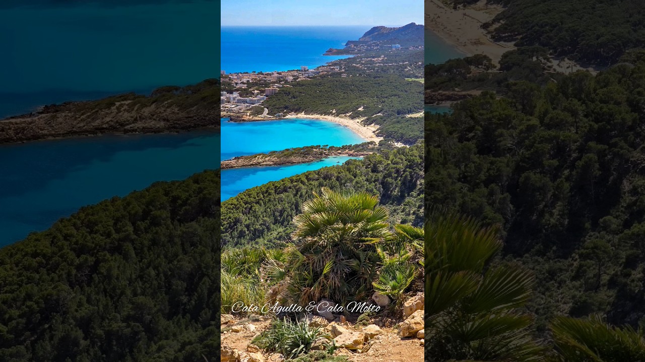 Cala Agulla 🩵 Cala Molto 🩵 Cala Mesquida 🩵  Mallorca 🏝 