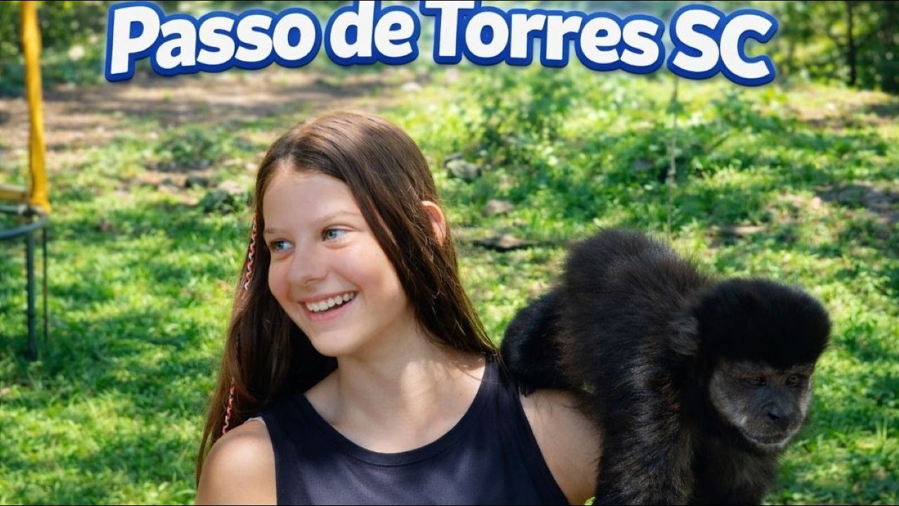 Interacting With Wild capuchin Monkeys In Brazil 🇧🇷 Passo de Torres Santa Catarina. 