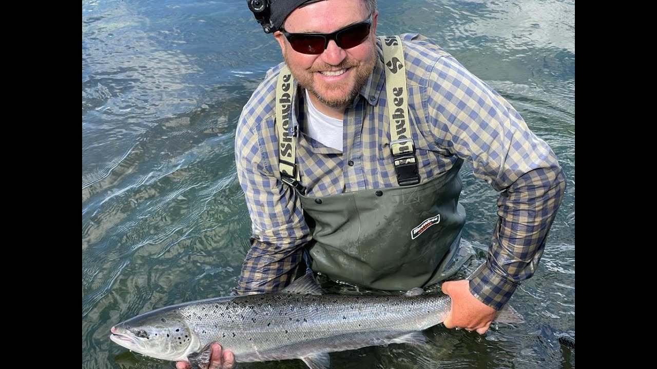 16lb Atlantic Salmon on the Devon Minnow  at Dog Kennel Hampshire Avon-11 6 22