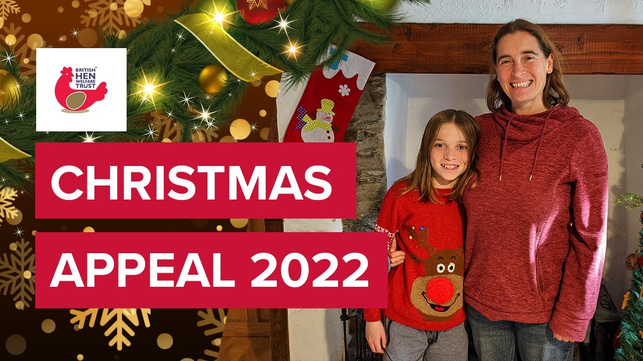 British Hen Welfare Trust┃Christmas Ad 2022