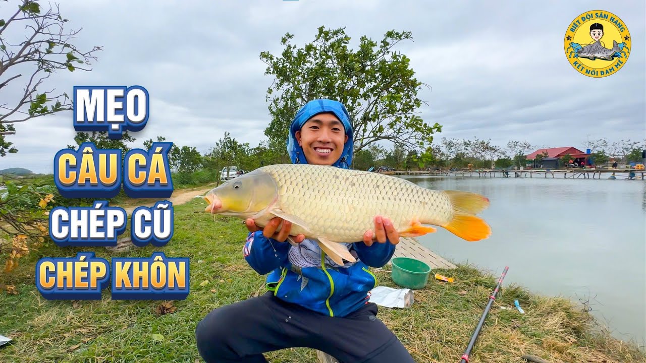 Mẹo Câu Cá Chép Cũ - Cá Chép Khôn?
