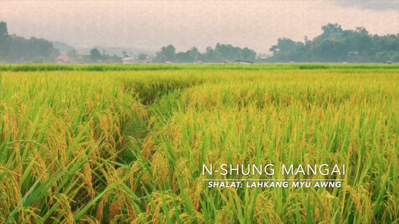 N shung Mangai