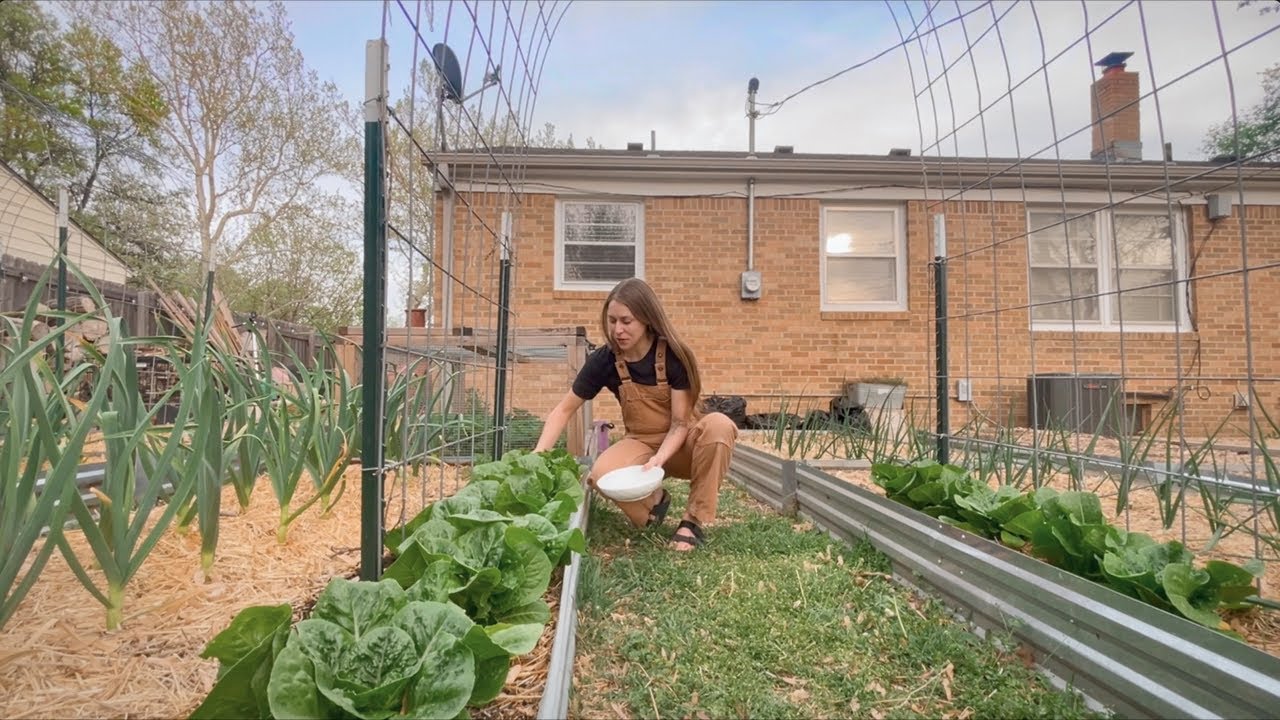 НЕ ПРОПУСТИТЕ этот важный шаг! Закалка растений, день на кухне и случайный садоводческий блог