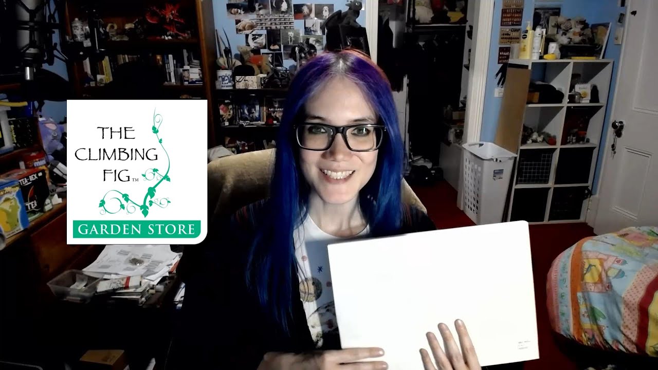 Climbing Fig Birthday Unboxing - my out of control hobby...!