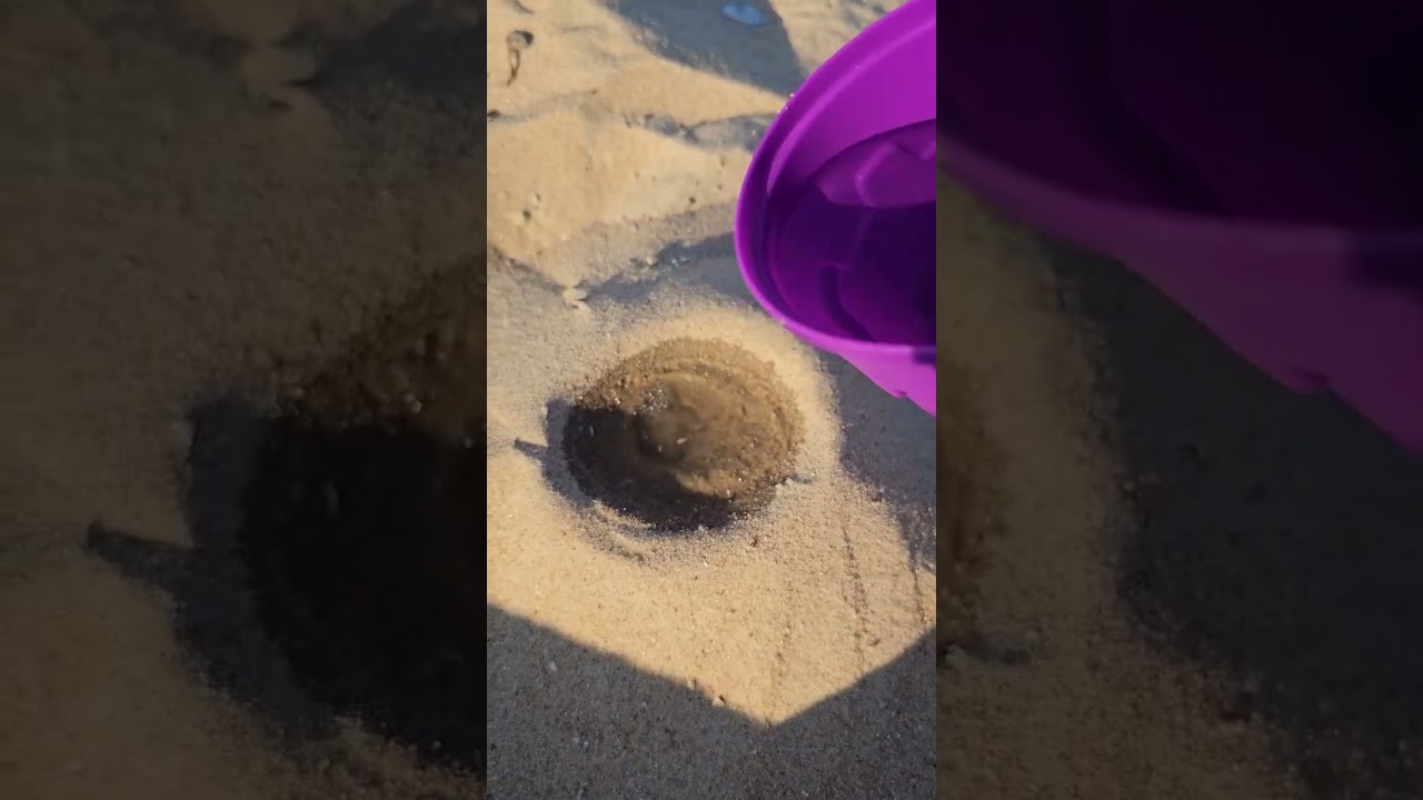 Summer ideas | Beach sand Bowl