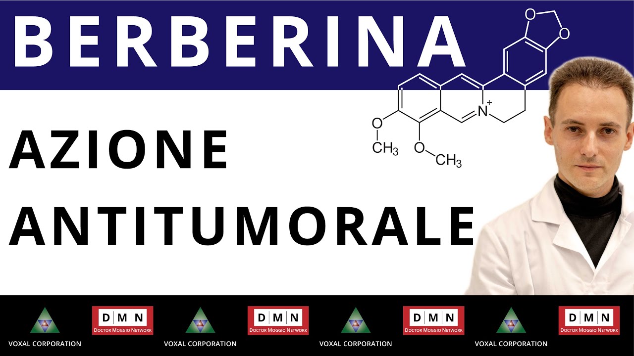 Berberina e cancro: il meccanismo antitumorale spiegato dalla scienza
