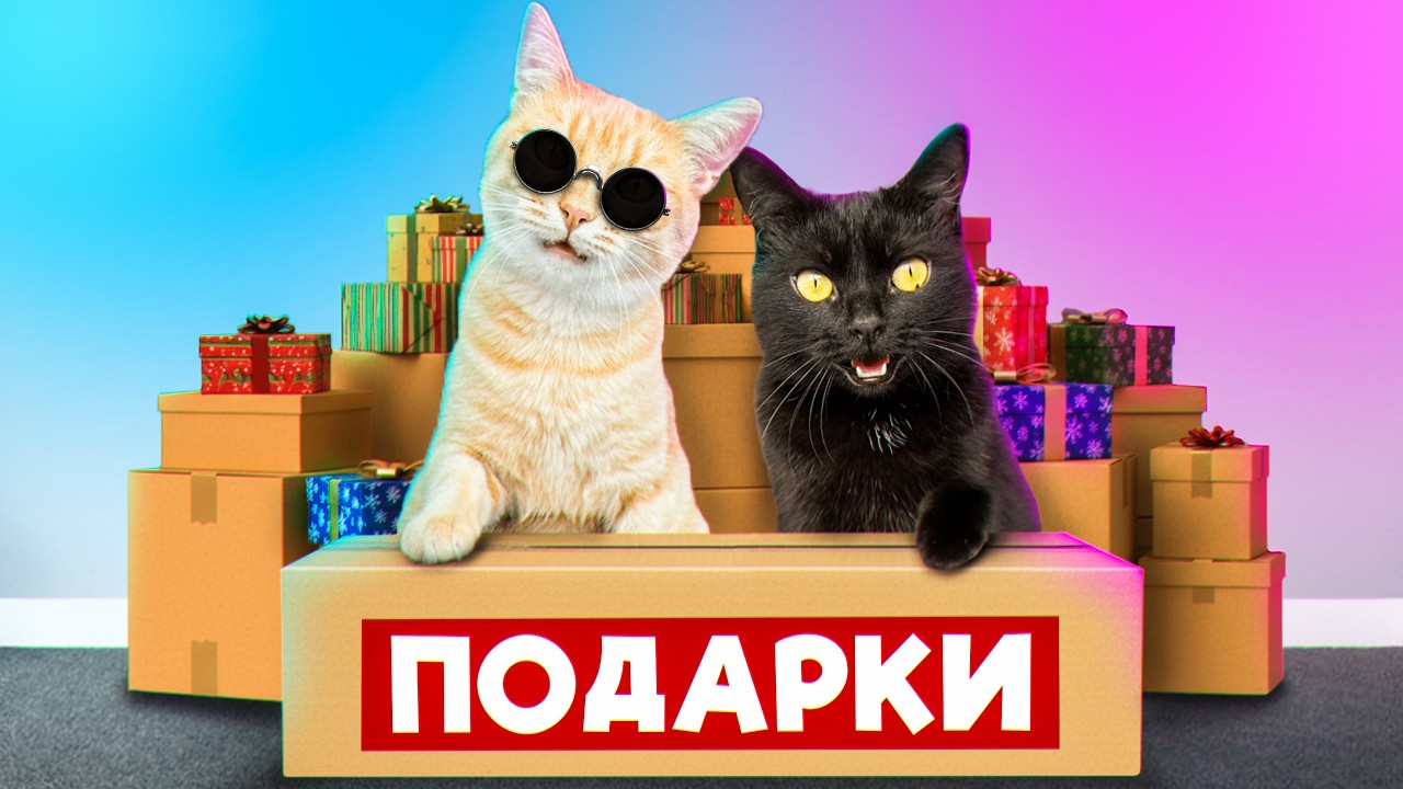 Подарки от подписчиков для наших домашних животных 2 / SANI vlog