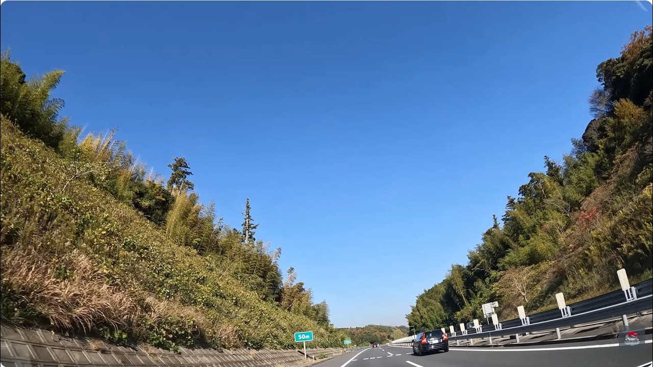 【千葉県・富津市】美しすぎる館山道の絶景紅葉ロード｜富津中央IC→横浜町田