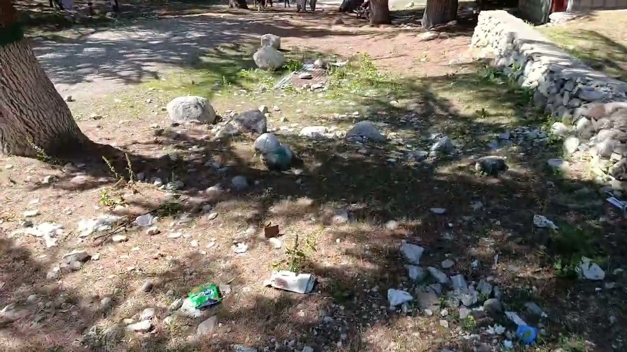 ptdc naran
