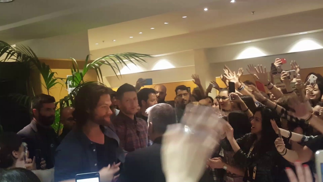 JIBCON 8 Closing (Carry On My Wayward Son)