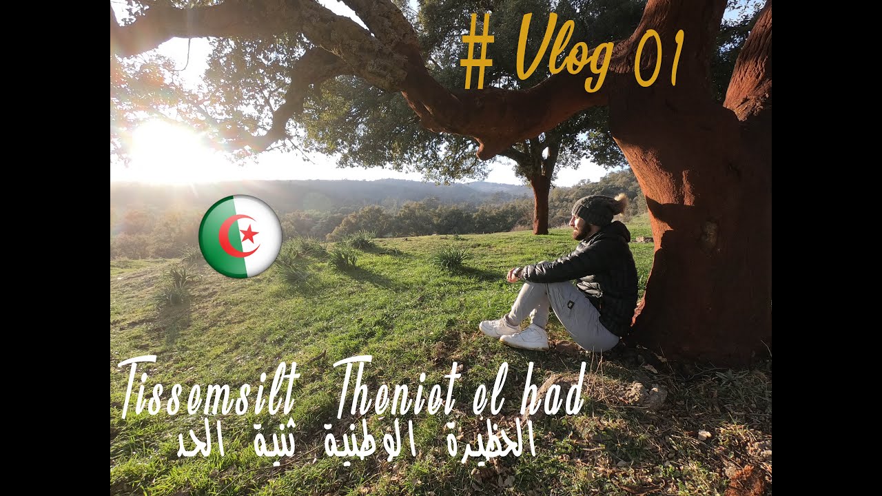 Vlog#01|Tissemsilt, Theniet el had الحظيرة الوطنية ثنية الحد 🏕