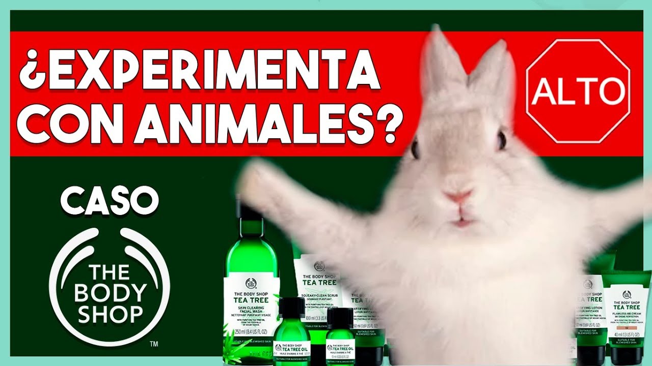 🌱 ¿Es una empresa o una ONG? | Caso The Body Shop