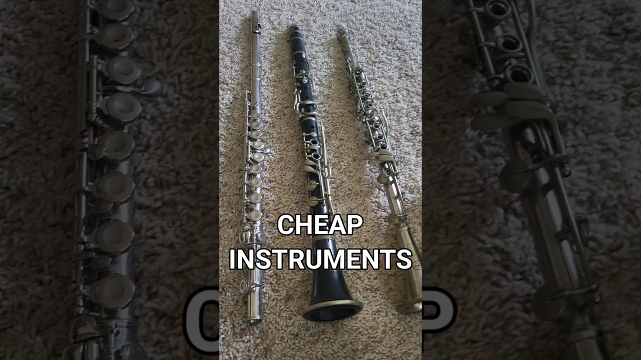 Cheap Instruments from a Garage Sale! 😱 🔥