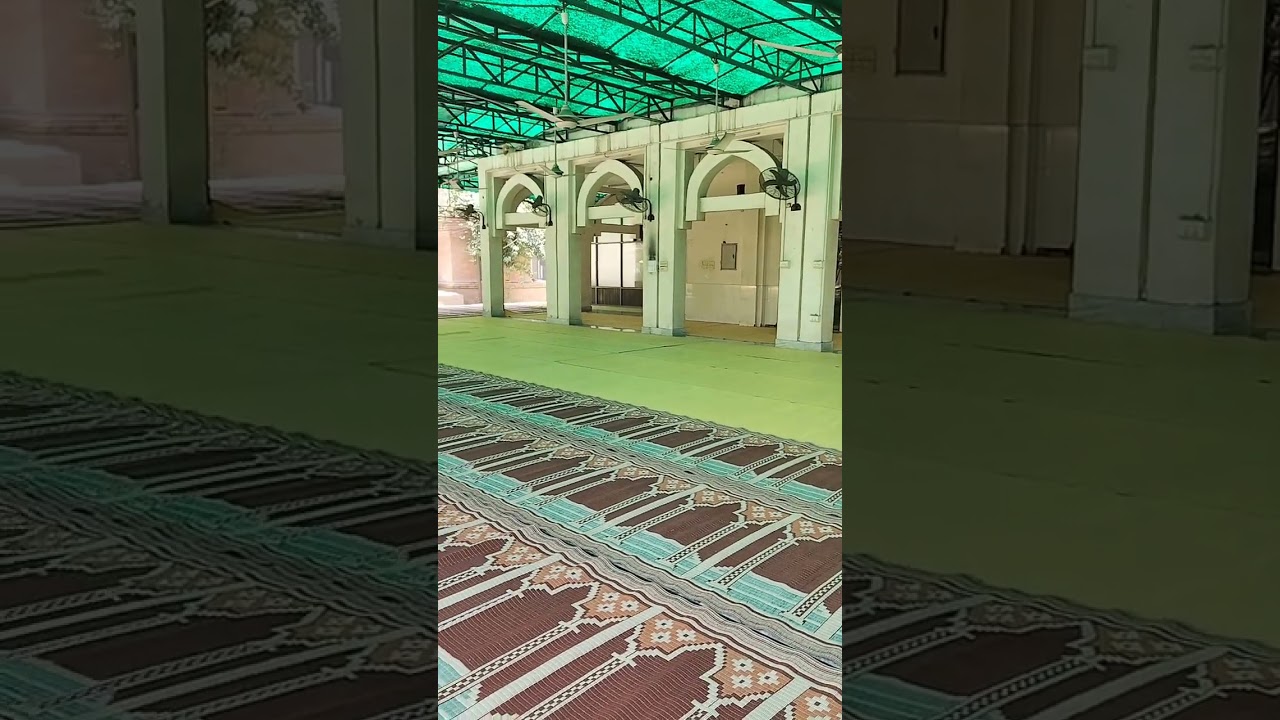 Masjid GC university #faisalabad #mosque #allah #shorts