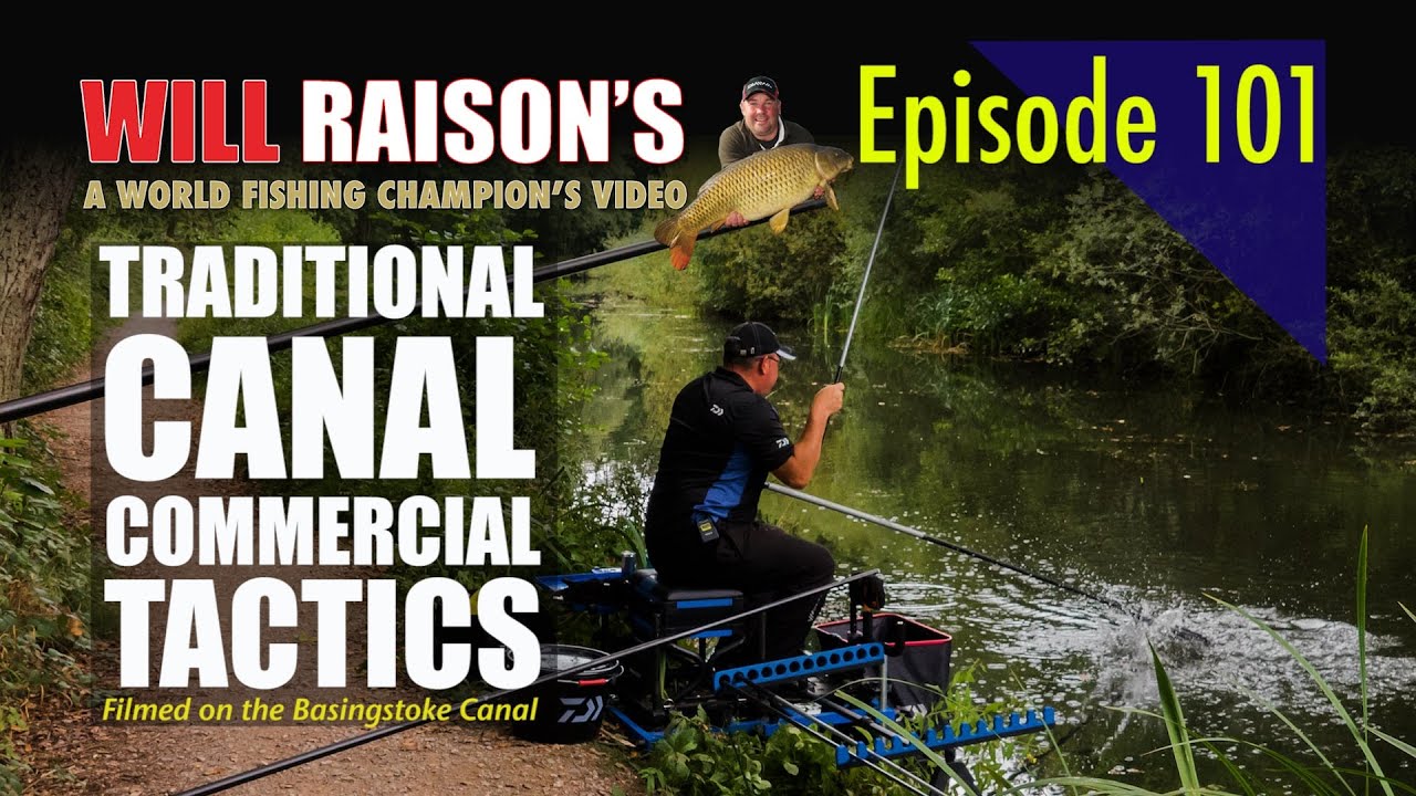 Commercial Fishery TACTICS Basingstoke CANAL | Will Raison Fishing