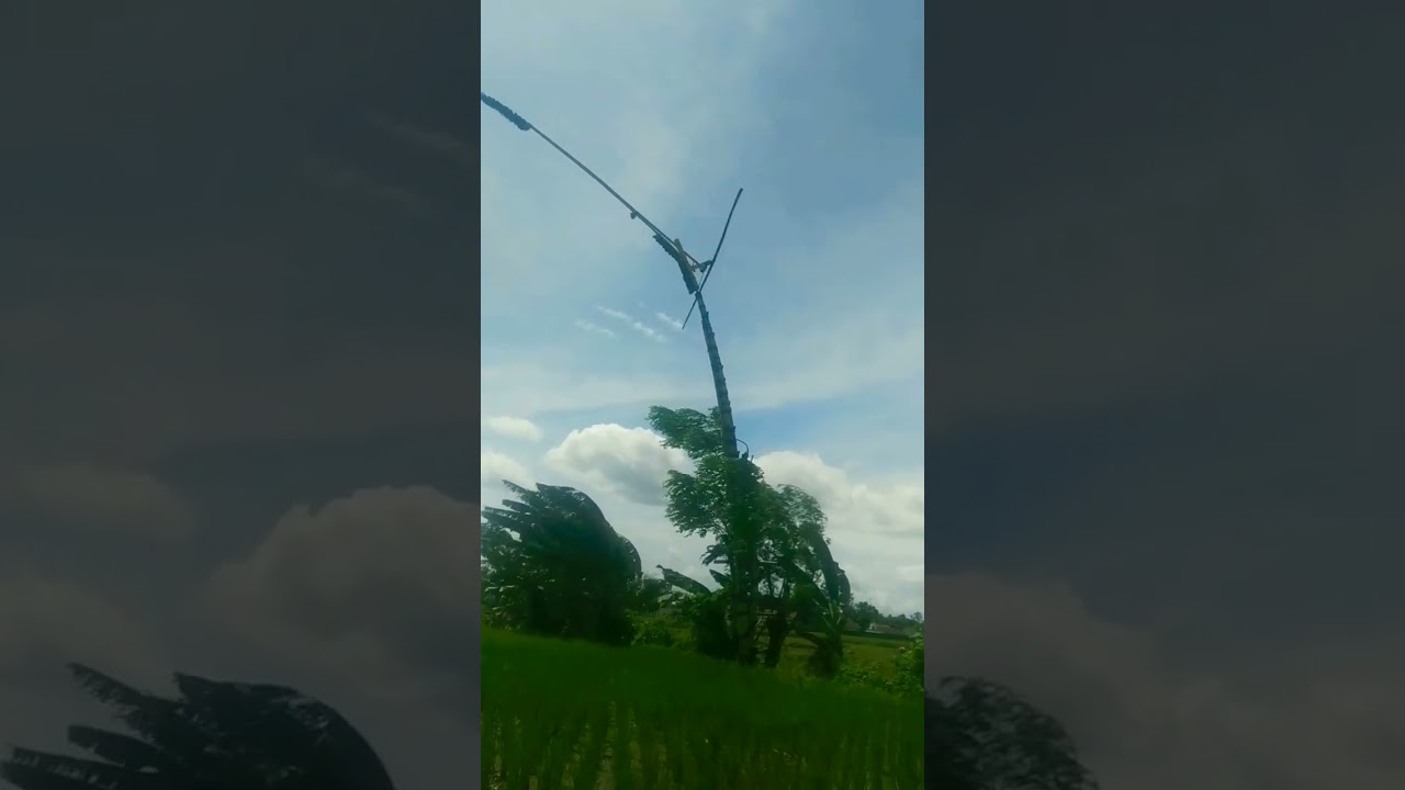 Detik detik ki Demang batuk di terpa angin barat daya #panjerkiling #kitiran #pindekan #kolecer