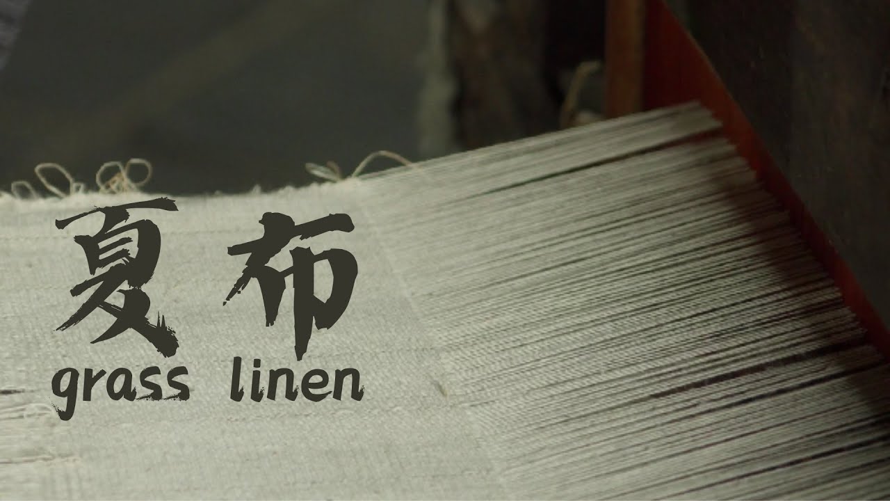 夏布  Grass linen ｜How do Chinese make cloth from grass