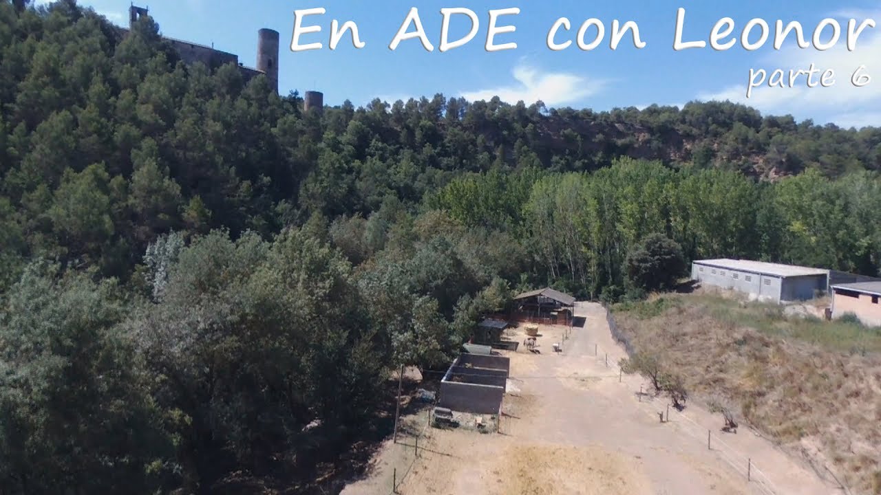 AYUDANDO A LOS ANIMALES EN ADE CON LEONOR parte 6