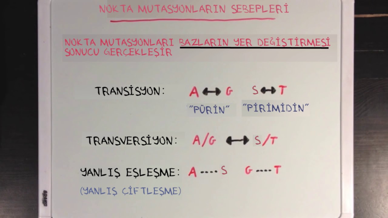 Genetik Mutasyonların Sebepleri (Fen Bilimleri) (Biyoloji)