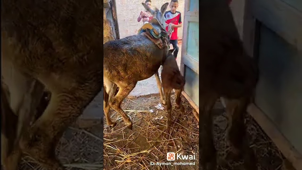 ٨ أغسطس، ٢٠٢٢