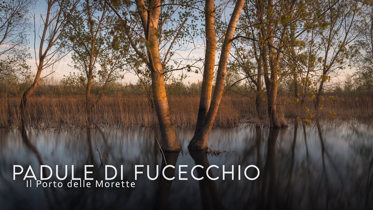 Il PADULE DI FUCECCHIO: un magnifico pomeriggio fotografico al Porto delle Morette | Vlog paesaggio