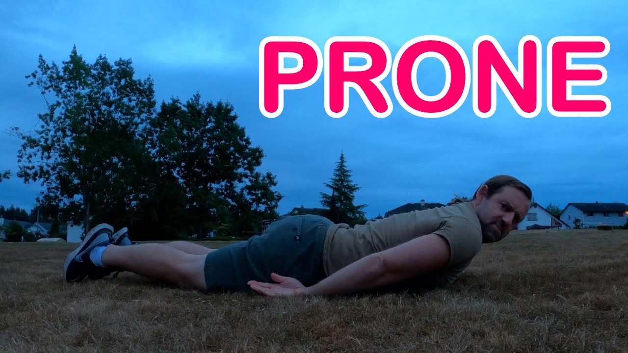 English word with 2 meanings — PRONE