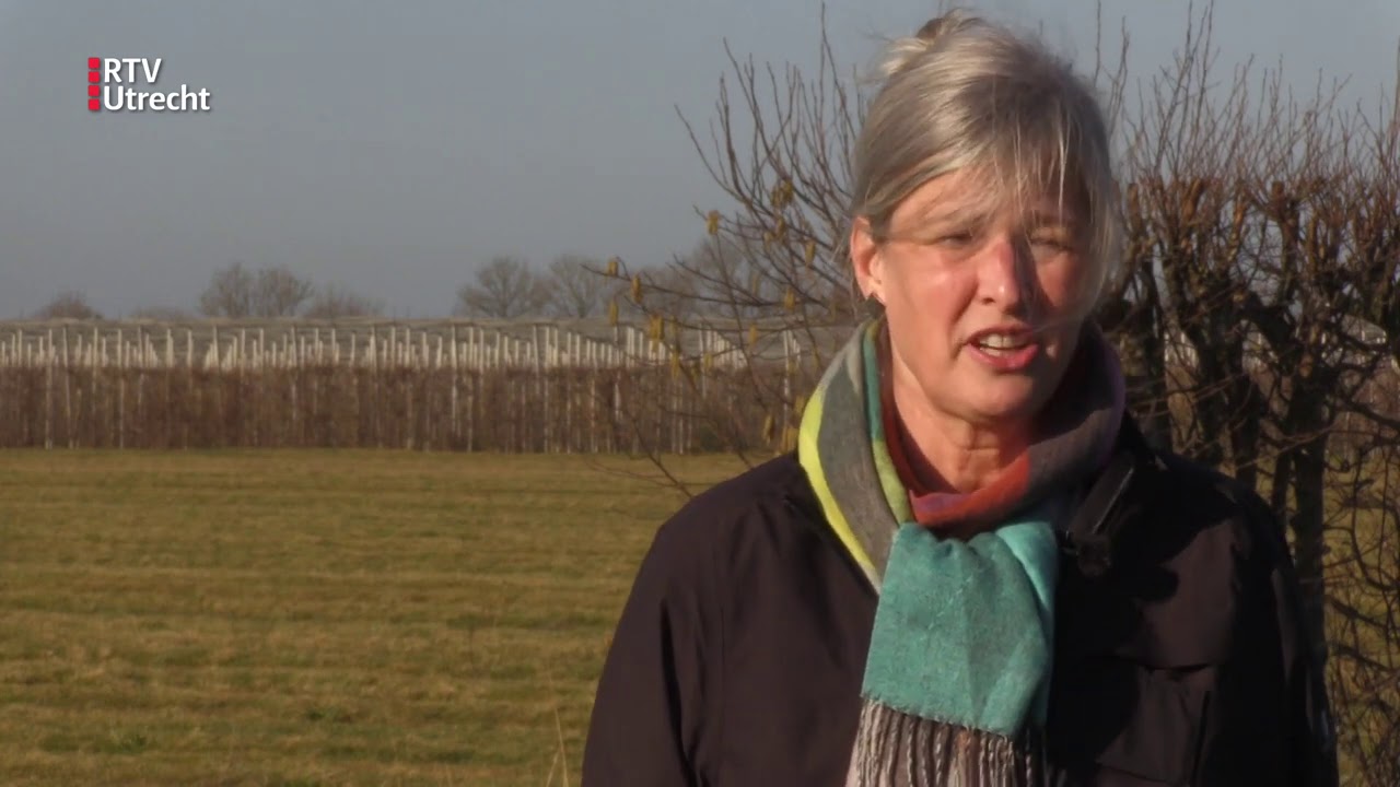 Geld verdienen met het zonneveld om de hoek, in Cothen kan dat nu [RTV Utrecht]