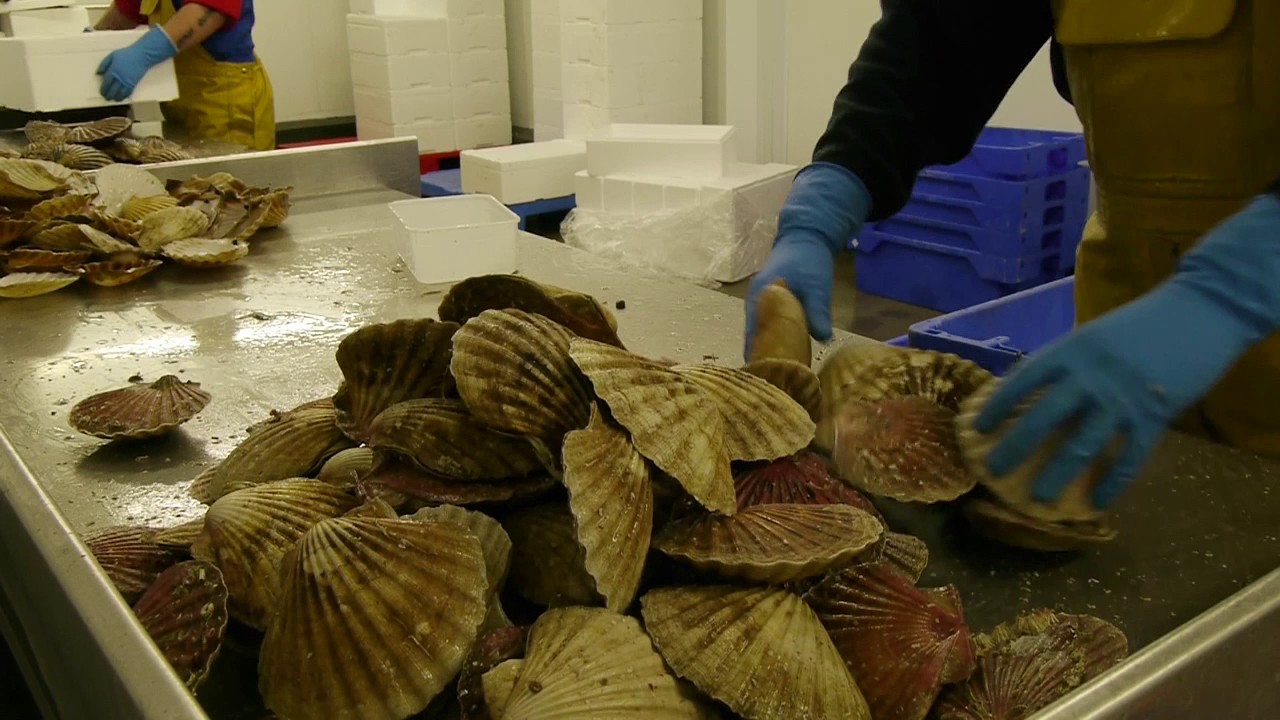 Three Weeks in Cromarty (trailer)