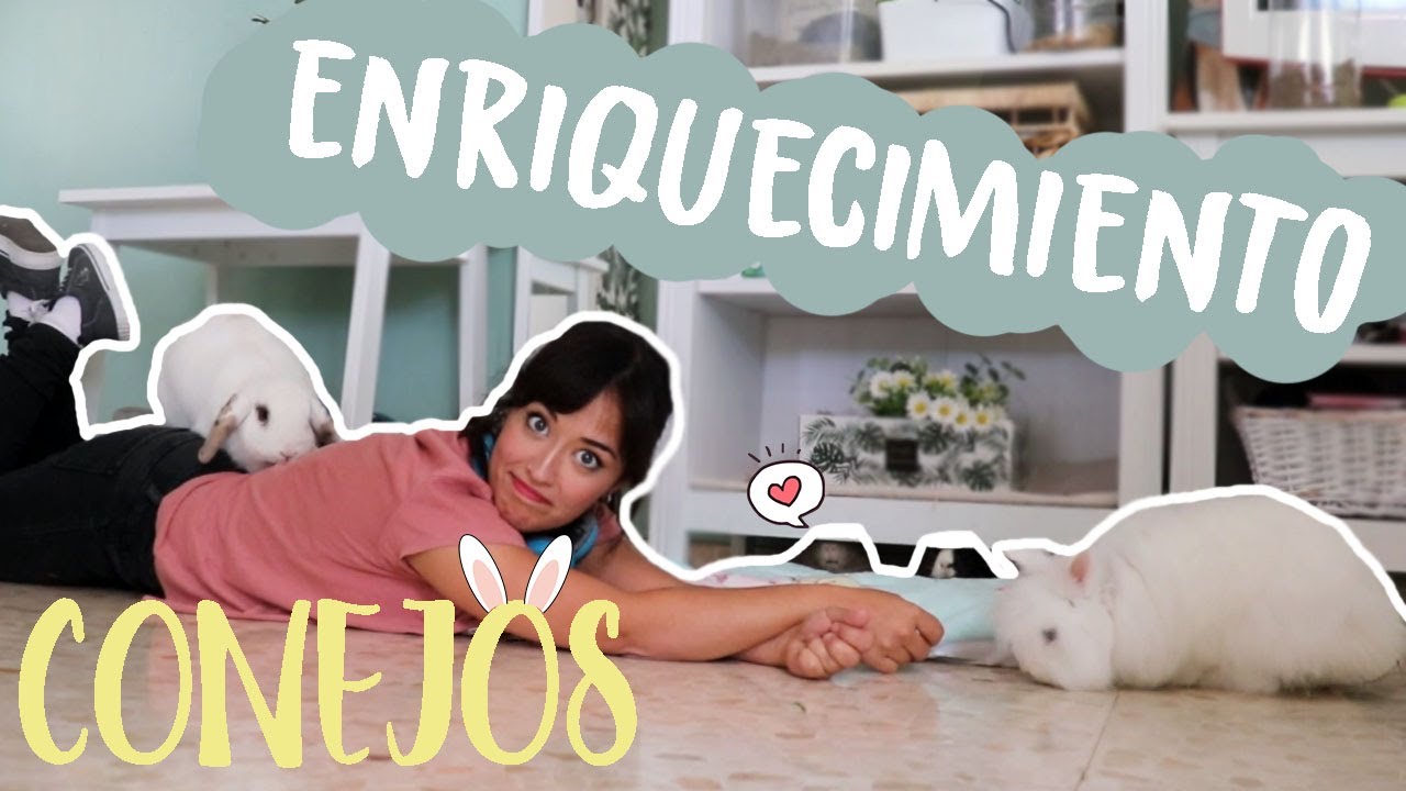 ¡ Enriquecimiento para CONEJOS !