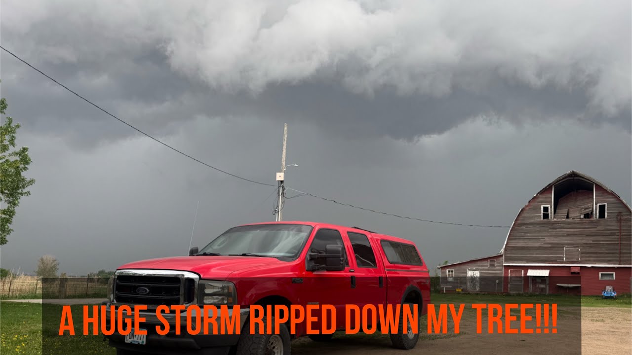DIY storm damage tree removal (tornado in the area)