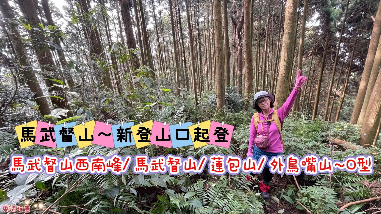 馬武督山新登山口|馬武督山西南峰｜馬武督山｜蓮包山｜外鳥嘴山，出水田林道O型[樂活玩童NO.166]2024/12/30