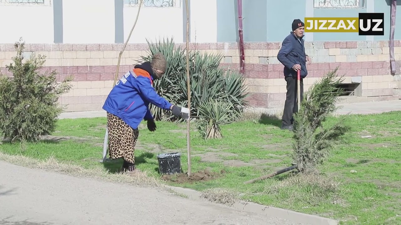 Videoreportaj: Jizzax shahrida aholi yashash hududlari obodonlashtirilmoqda