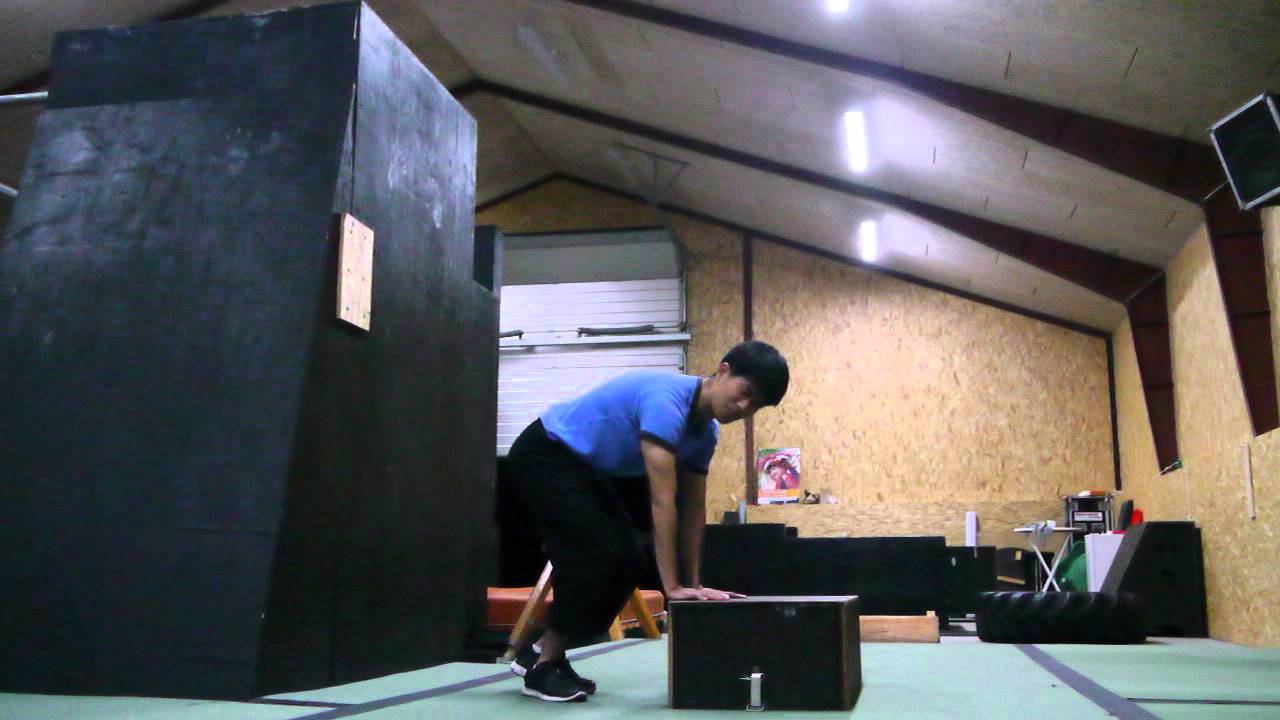 PalmSpin Tutorial for Ollerup LUP