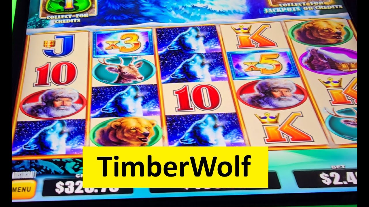 TimberWolf Triple Power Super Big Win!! Aristocrat Game