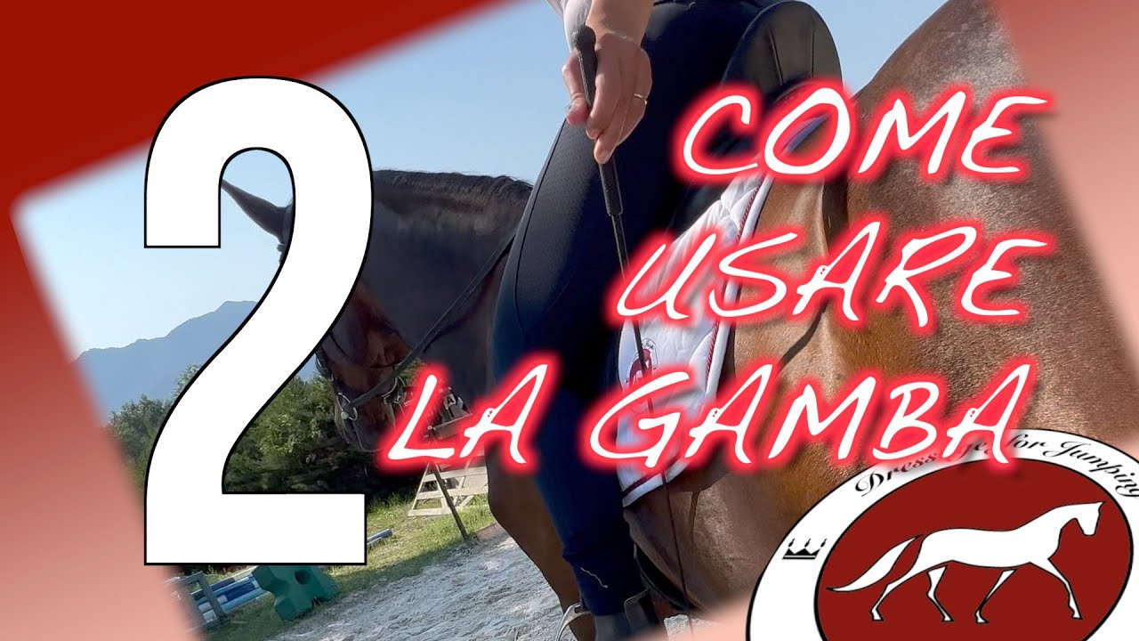 #dressageforjumping  Uso della gamba - parte 2
