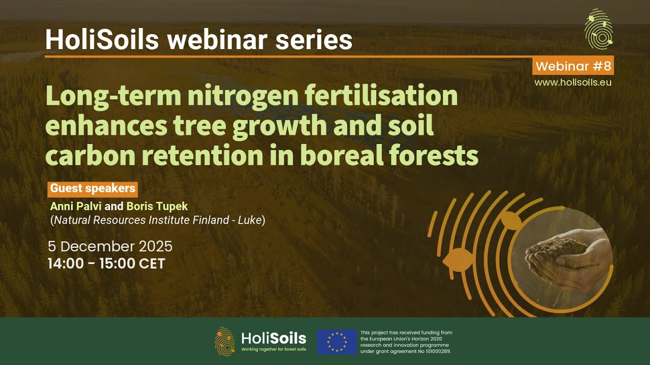 HoliSoils Webinar #8 – Nitrogen fertilisation boosts tree growth and soil carbon in boreal forests
