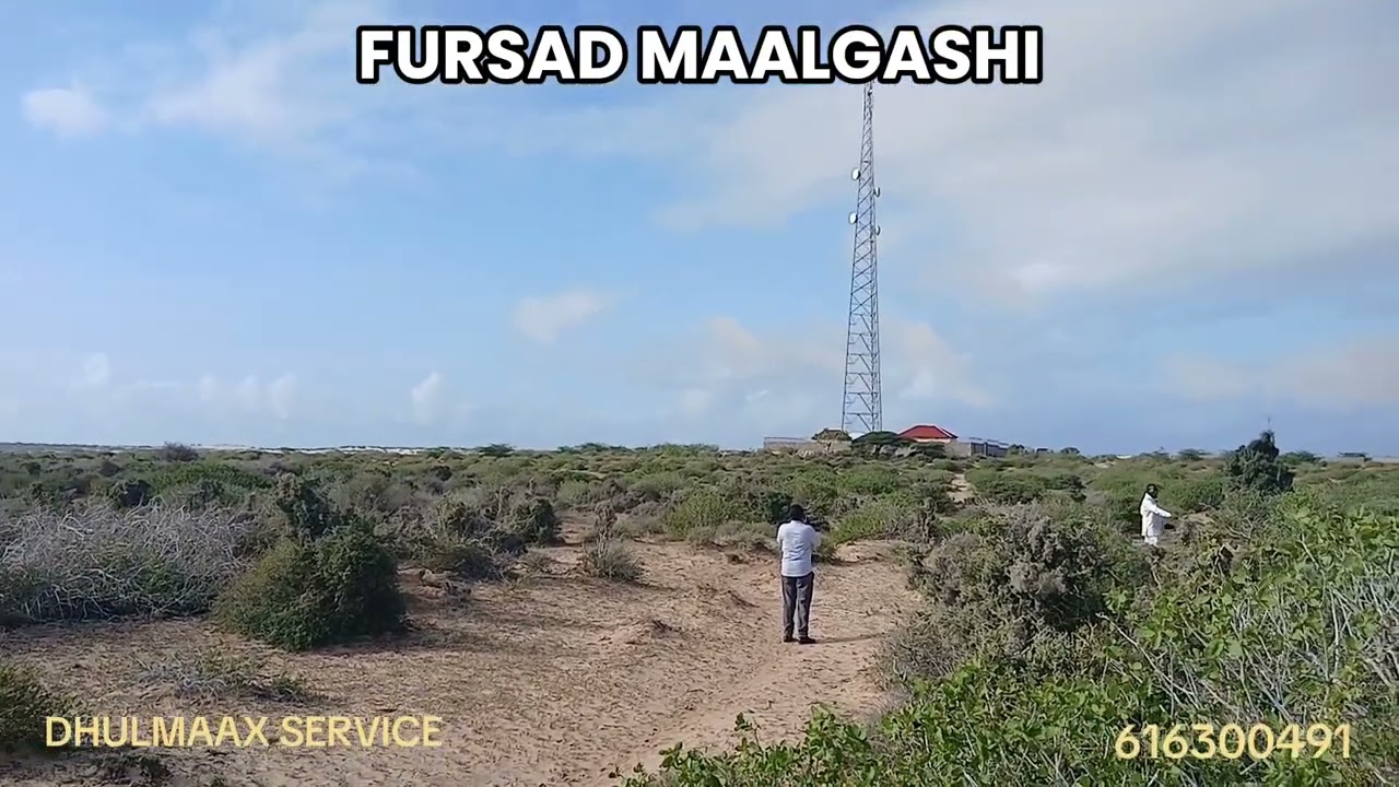 Fursadan yeysan ku seegin | New Mogadishu |
