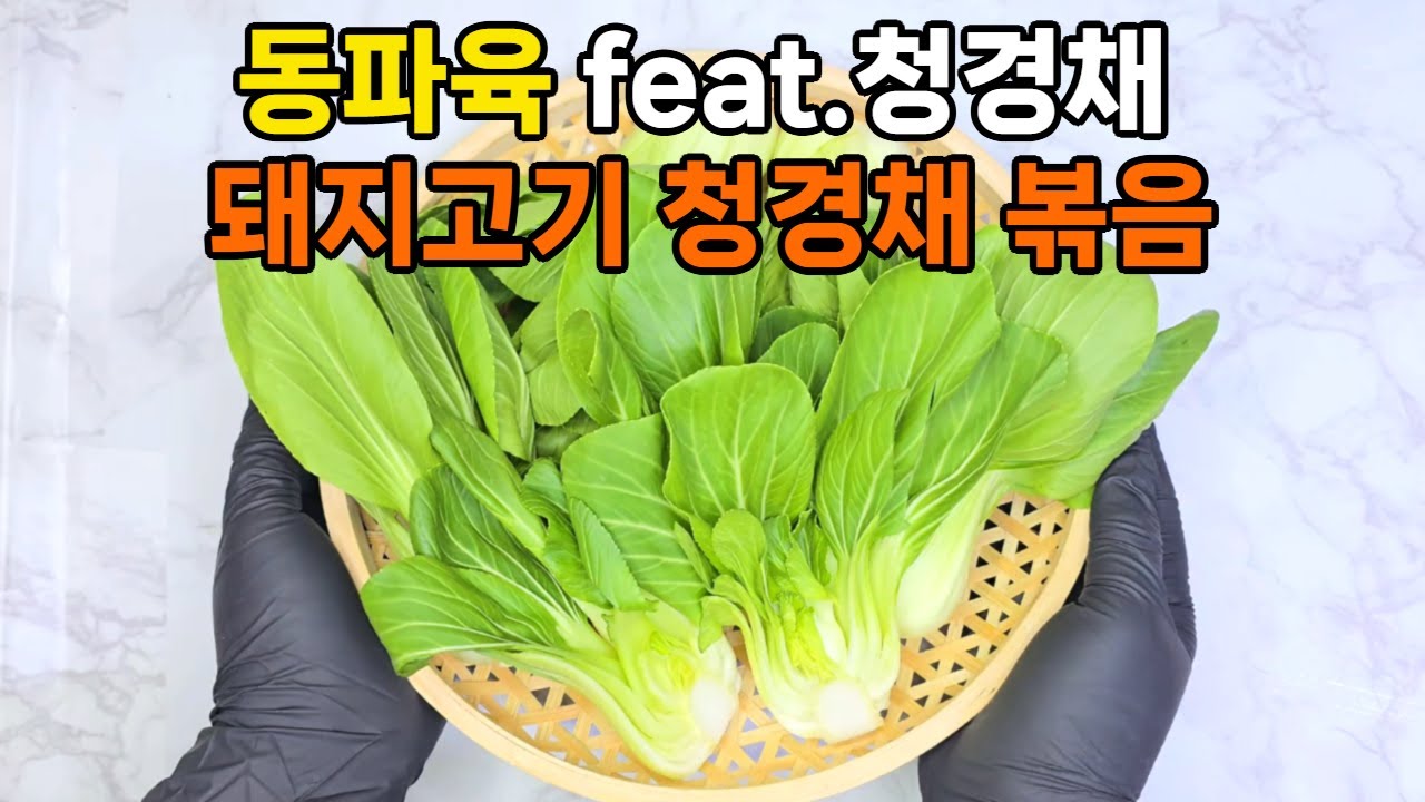 가을 제철 청경채, 동파육과 돼지고기 청경채볶음 레시피, 고르는법과 보관법