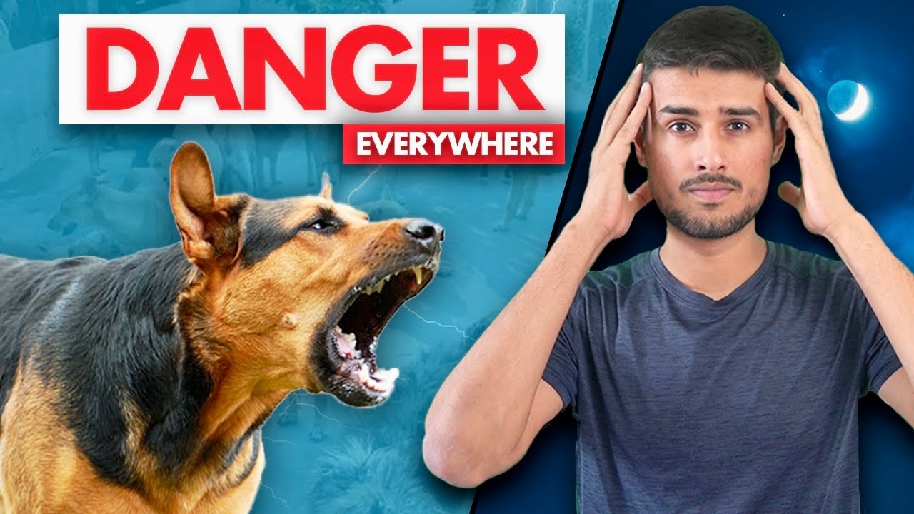 India has a Big Stray Dogs Problem |&nbsp;Dhruv Rathee