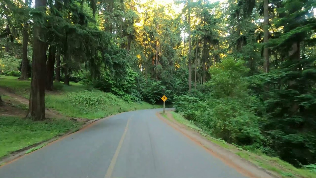 Take a drive through Mt Tabor park Portland Oregon