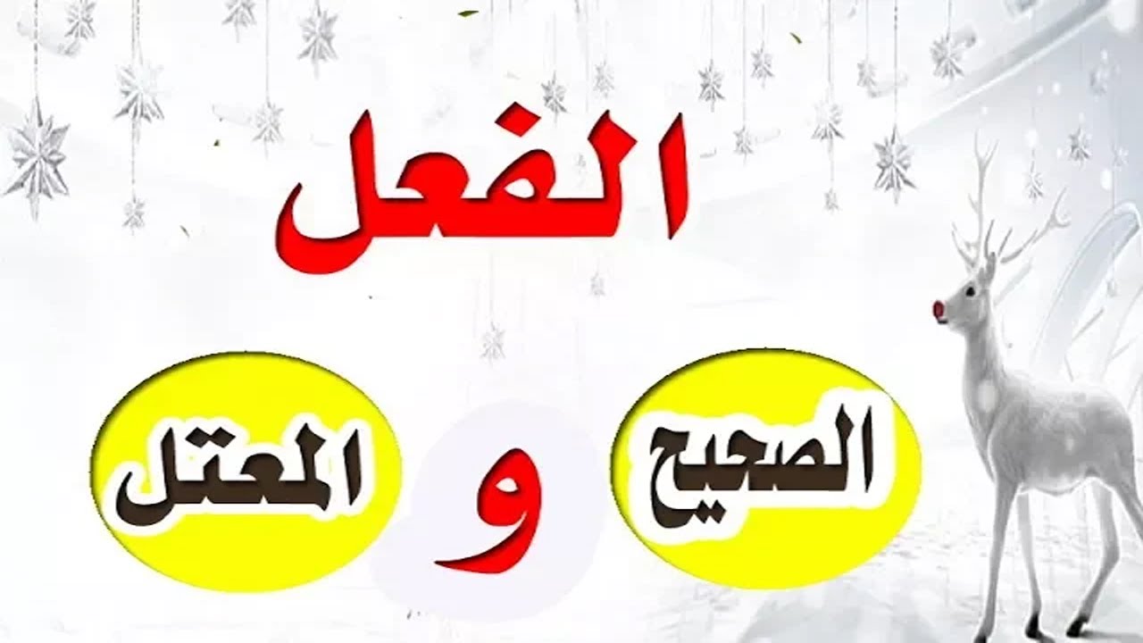 الفعل الصحيح والمعتل -  الدرس 13 صرف